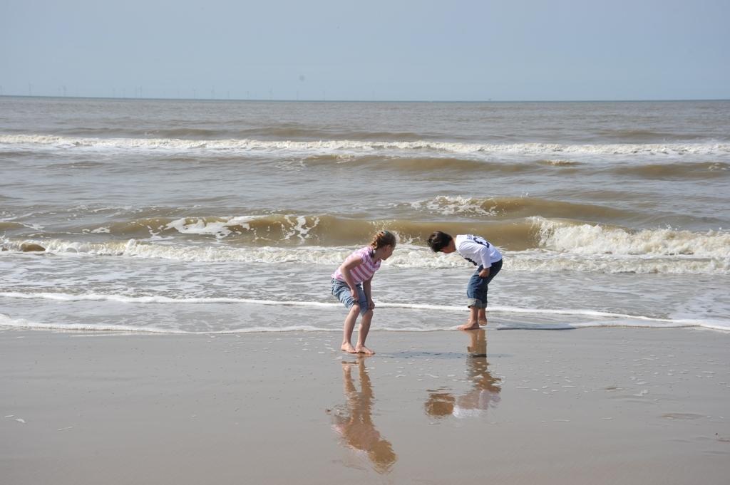 Appartementen Natuurlijk Egmond aan Zee Pokój zdjęcie